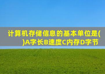 计算机存储信息的基本单位是( )A字长B速度C内存D字节
